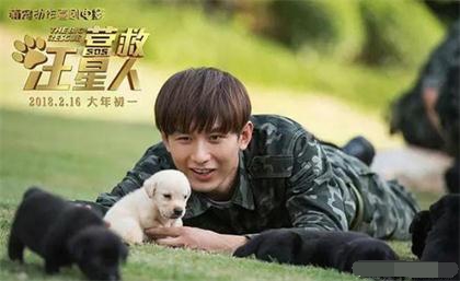 電影,營救汪星人